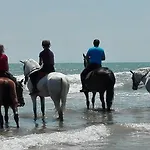 Mirant El Mar Port Saplaya