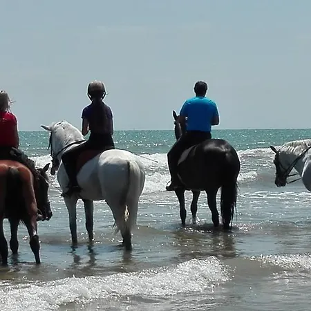 Mirant El Mar Port Saplaya